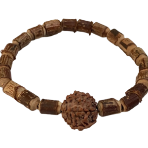 Natural Raw Holy Basil Tulsi & 7 mukhi Rudraksha Mala beads bracelet