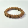 7-Mukhi-Rudraksha-Brecelet