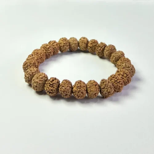 7-Mukhi-Rudraksha-Brecelet