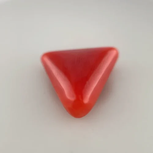 Triangular Red Coral (लाल मूंगा)